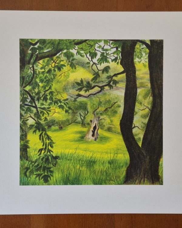 Sharpham Estate, Near Ashprington, Totnes — A4 Print