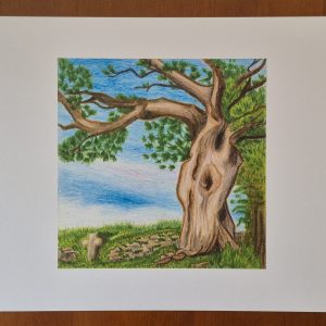 Crossroads at Drywell, Near Widecombe in the Moor — A4 Print