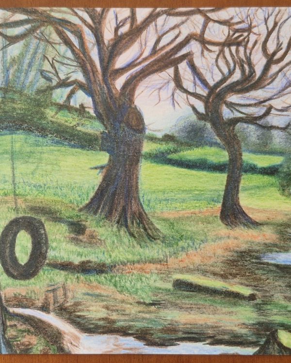 Copse at Bow Creek, Cornworthy, Totnes — Greeting Card (Blank)