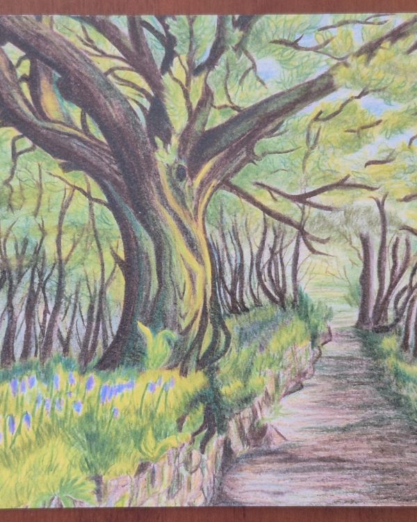 Bluebells on Burrator — Greeting Card (Blank)